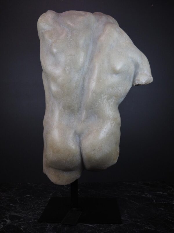 Torso white - Image 4