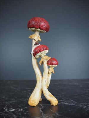 Mushroom