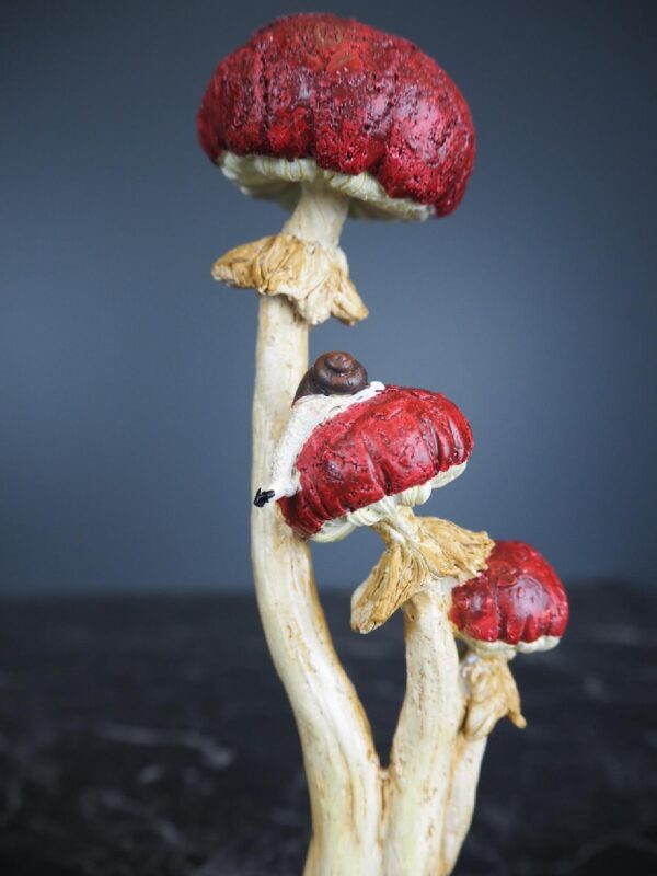 Mushroom - Image 2