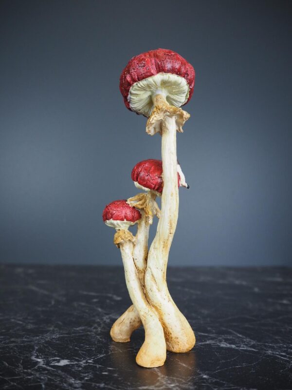 Mushroom - Image 3
