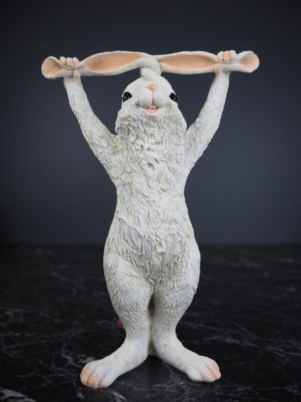 Rabbit