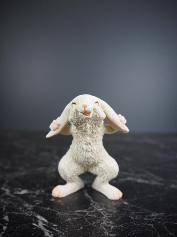 Rabbit
