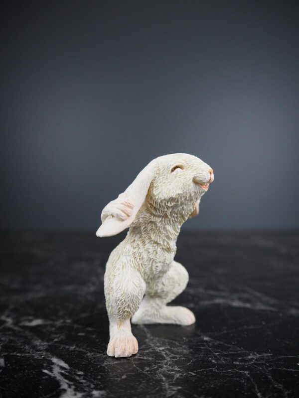 Rabbit - Image 2