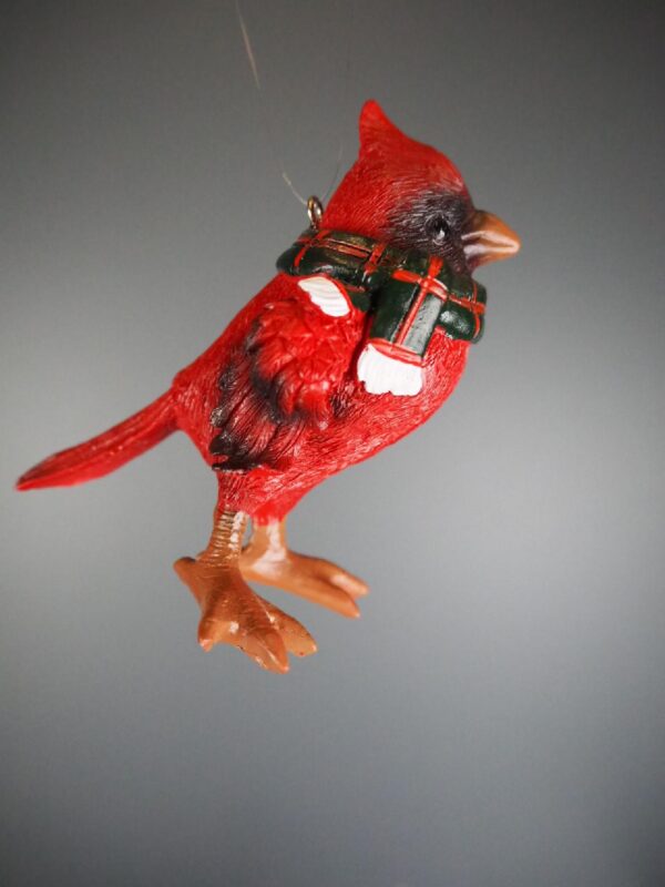 Cardinal hanging