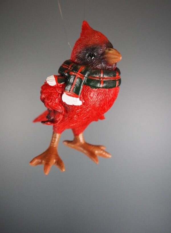 Cardinal hanging - Image 2