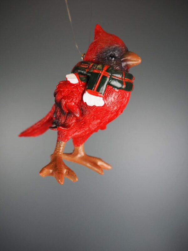 Cardinal hanging - Image 3