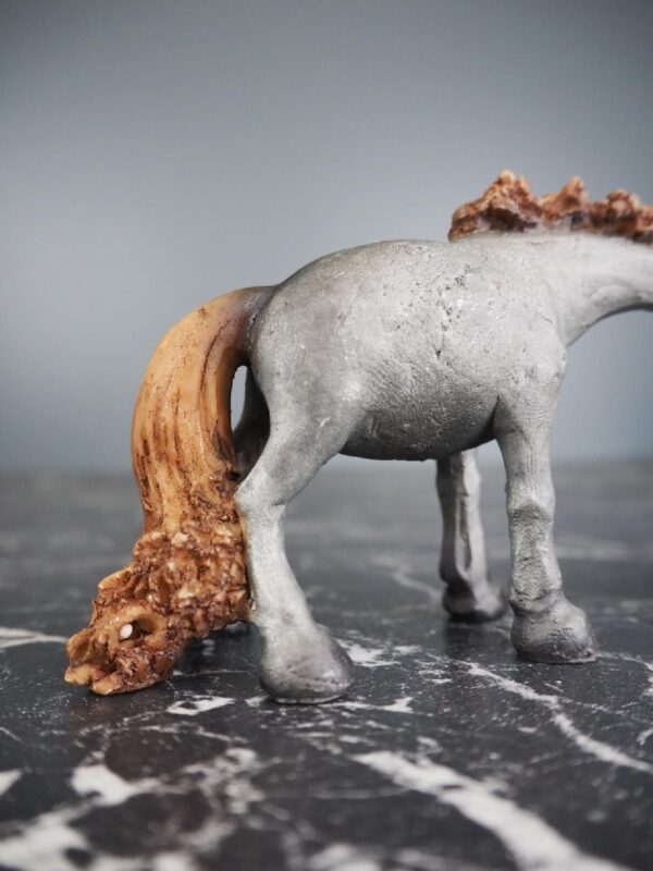 Horse - Image 3