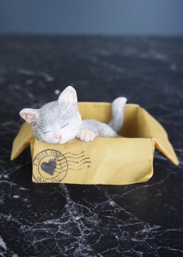 Cat - Image 2