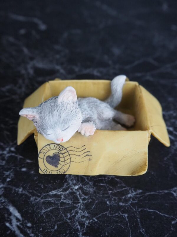 Cat - Image 3