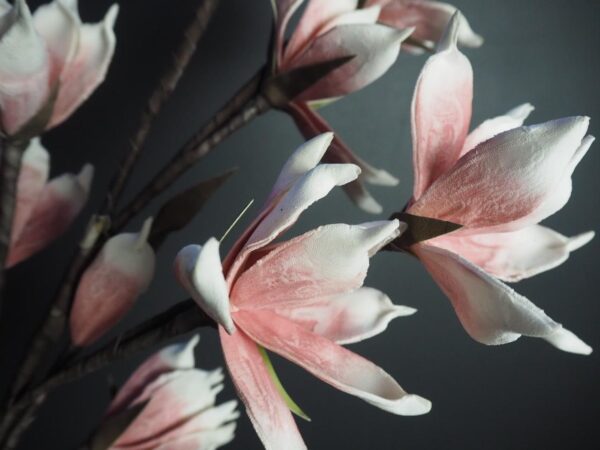 Flower - Image 3