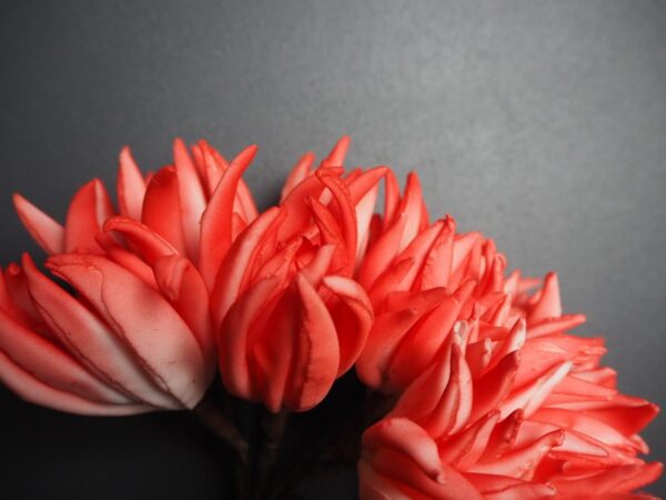 Flower - Image 3