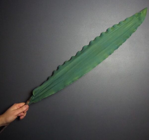 Leaf