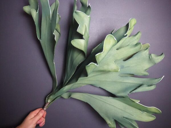 Leaf - Image 3