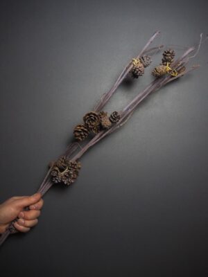 Branch