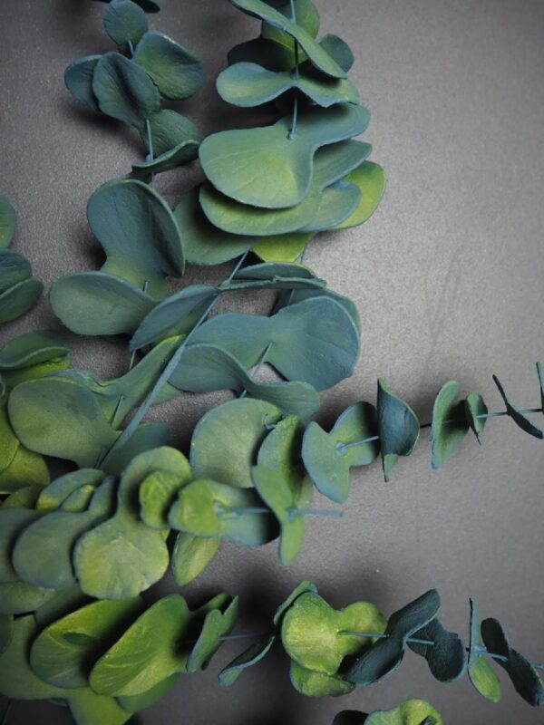 Eucalyptus Branch - Image 2
