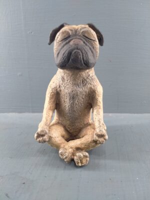 Yoga dog realistic brown