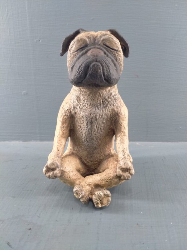 Yoga dog realistic brown