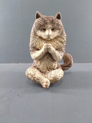 Birman Cat Yoga pose realistic brown/white