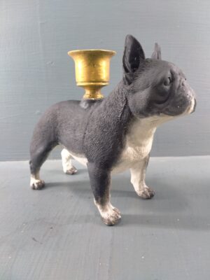 French Bulldog black & white with GL CH