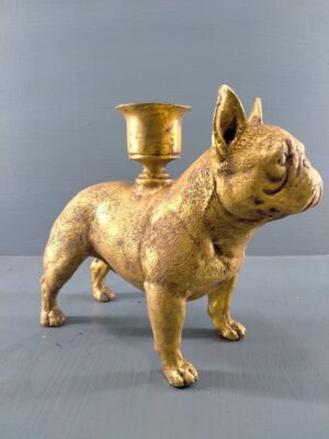 French Bulldog Goldleaf with CH