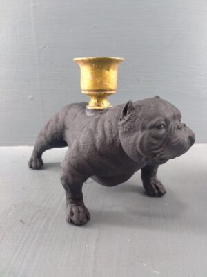 American Bully matt black with GL CH