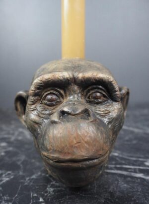 Monkey Head CH realistic color