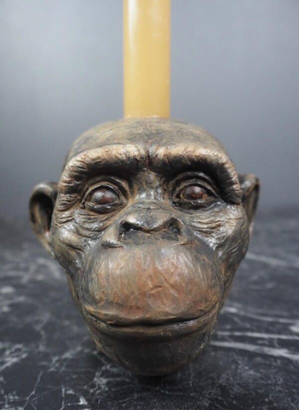 Monkey Head CH realistic color