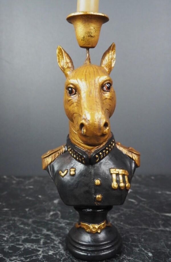 Gold Royal Army Zebra bust Black/GL coat