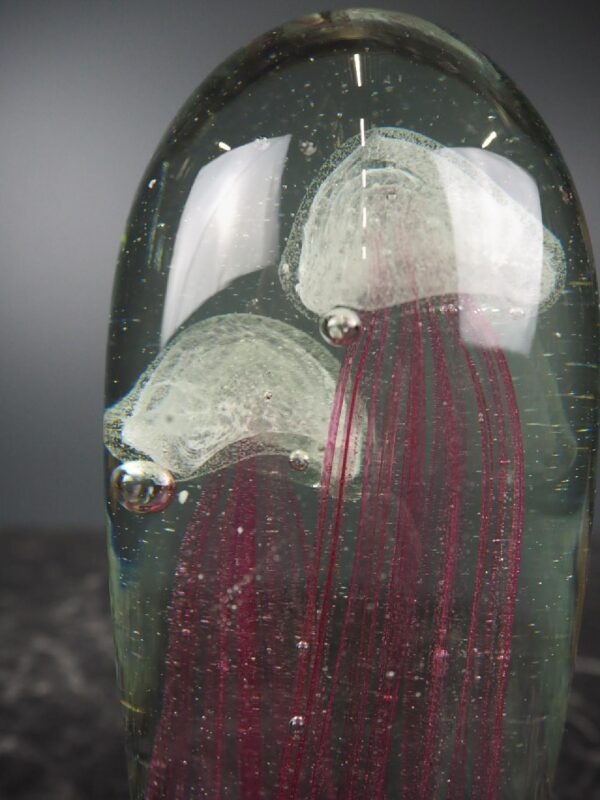 Glass Jellyfish - Image 2