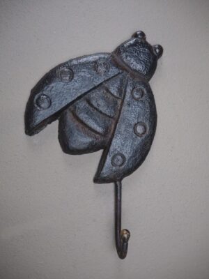 Weathered Cicada Iron Hook