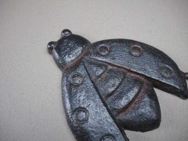 Weathered Cicada Iron Hook - Image 2