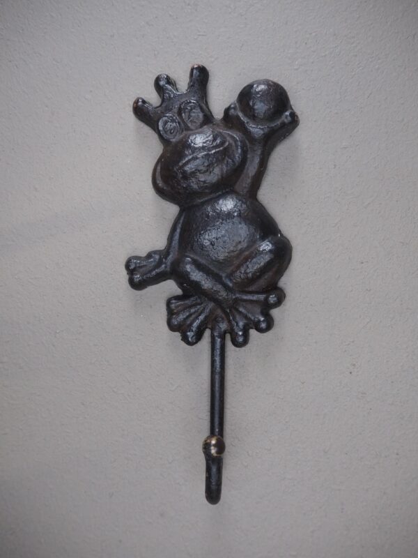 Wisdom Frog Iron Hook - Image 3