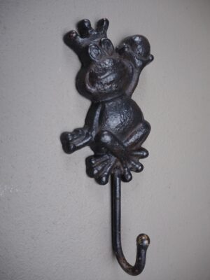 Wisdom Frog Iron Hook