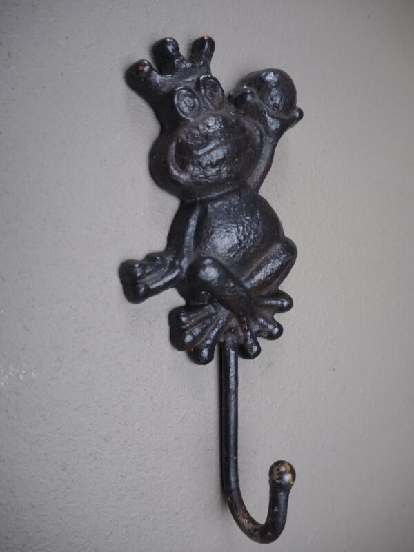 Wisdom Frog Iron Hook