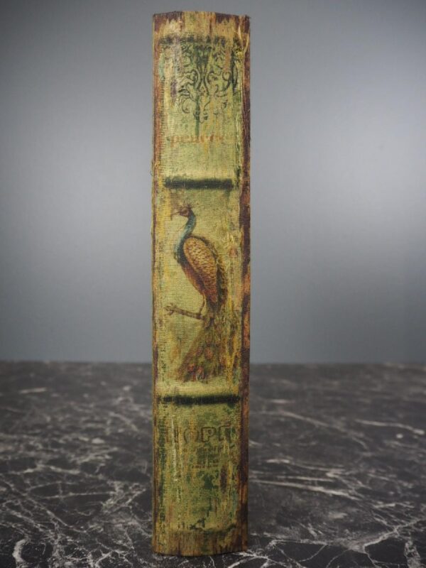 Peacock Book Box - Image 2