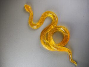 Clear snake T.top amber finish
