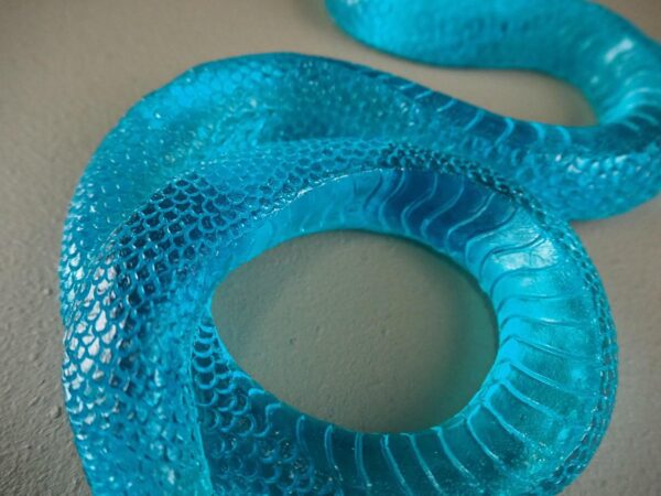 Clear snake T.top turquoise finish - Image 2