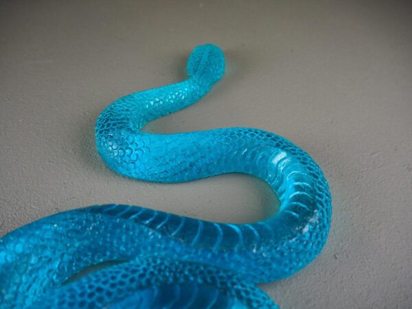 Clear snake T.top turquoise finish - Image 3