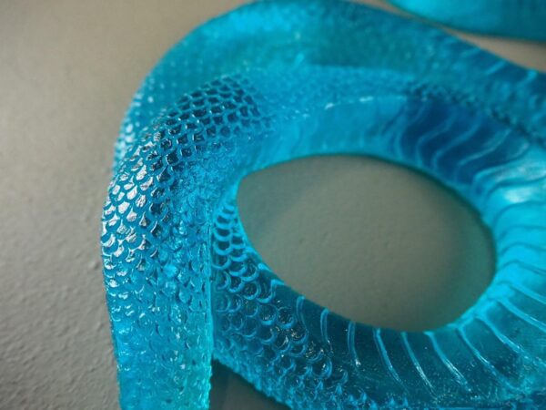 Clear snake T.top turquoise finish - Image 4