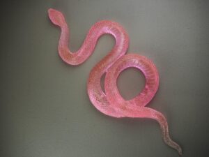 Clear snake T.top pink finish