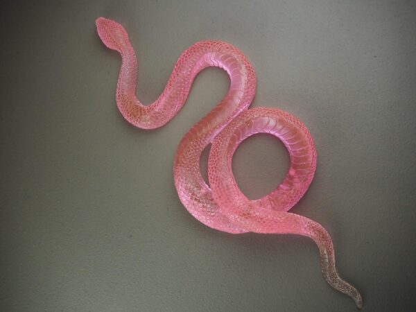 Clear snake T.top pink finish