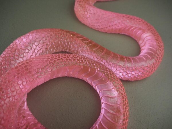Clear snake T.top pink finish - Image 2