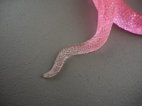 Clear snake T.top pink finish - Image 3