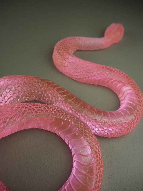 Clear snake T.top pink finish - Image 4