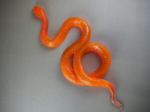 Clear snake T.top red/orange finish