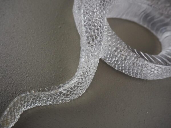 Clear snake T.top - Image 4
