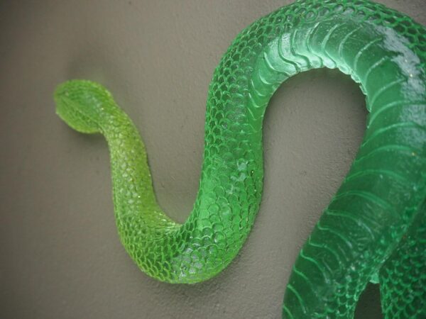 Clear snake T.top greenfinish - Image 4
