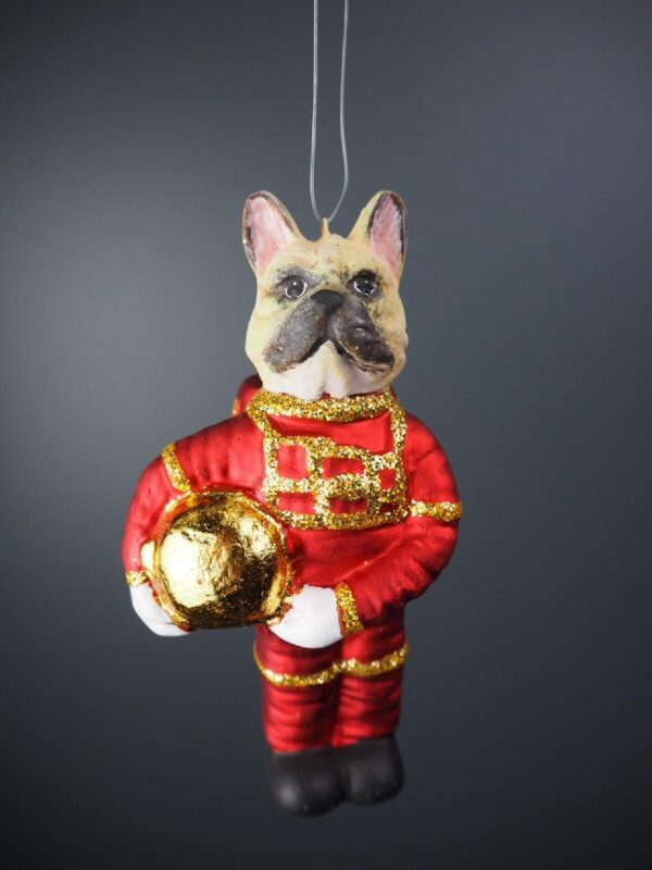 Astrodog red suit with gold glits & GL