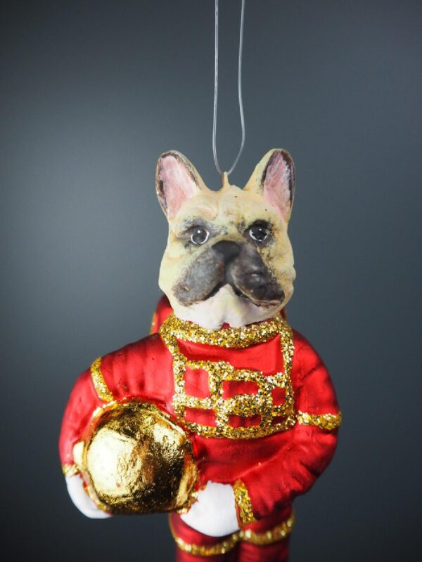Astrodog red suit with gold glits & GL - Image 2