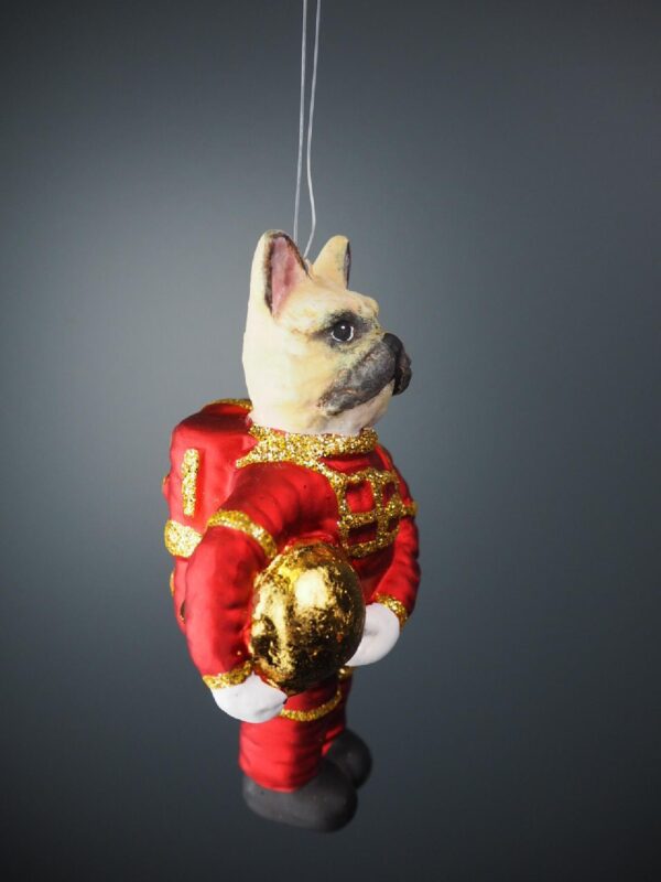 Astrodog red suit with gold glits & GL - Image 3